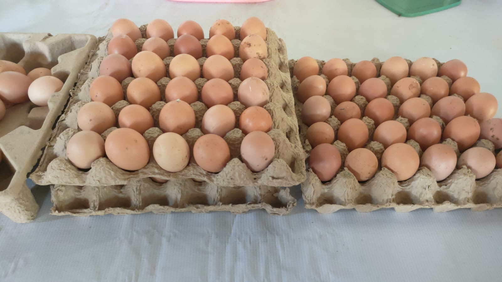 Telur Ayam Super