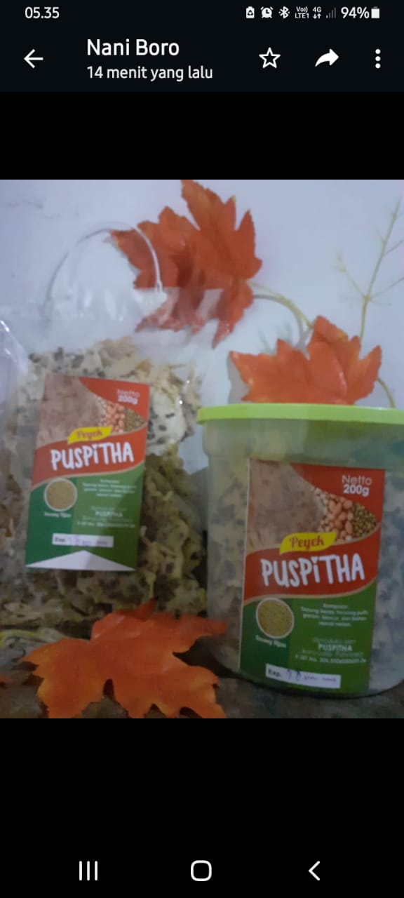 Aneka peyek