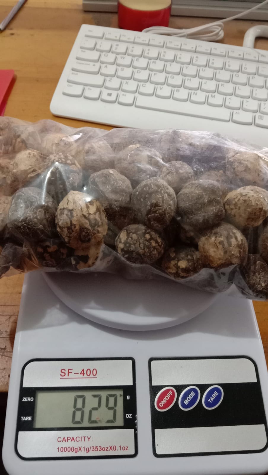buah kemiri